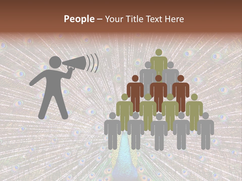 Beautiful Feather Bright PowerPoint Template