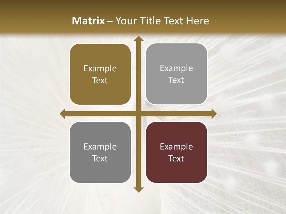 Show Animals White PowerPoint Template