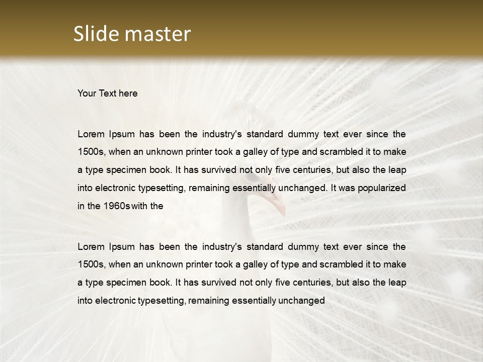 Show Animals White PowerPoint Template