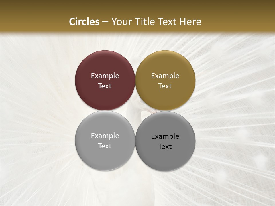 Show Animals White PowerPoint Template