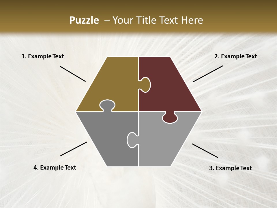 Show Animals White PowerPoint Template