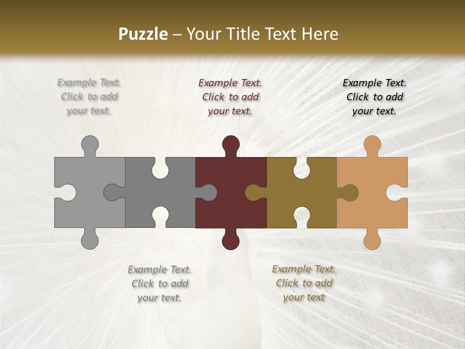 Show Animals White PowerPoint Template