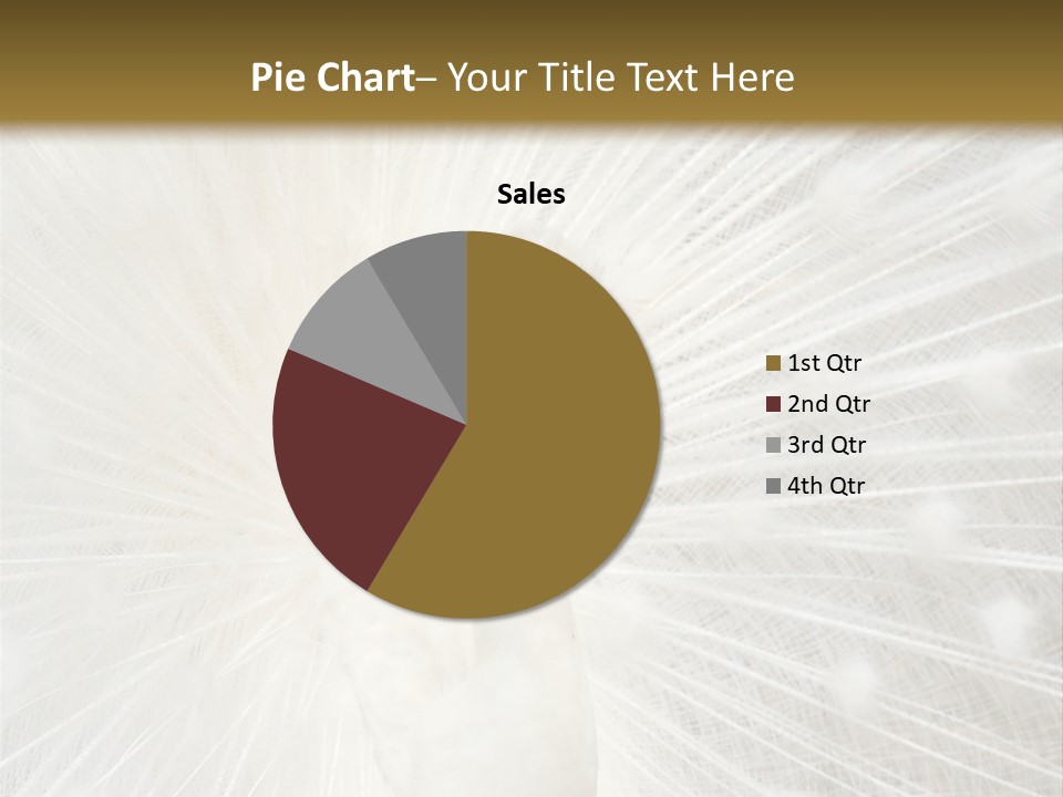 Show Animals White PowerPoint Template