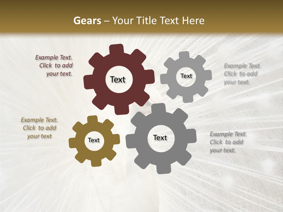 Show Animals White PowerPoint Template