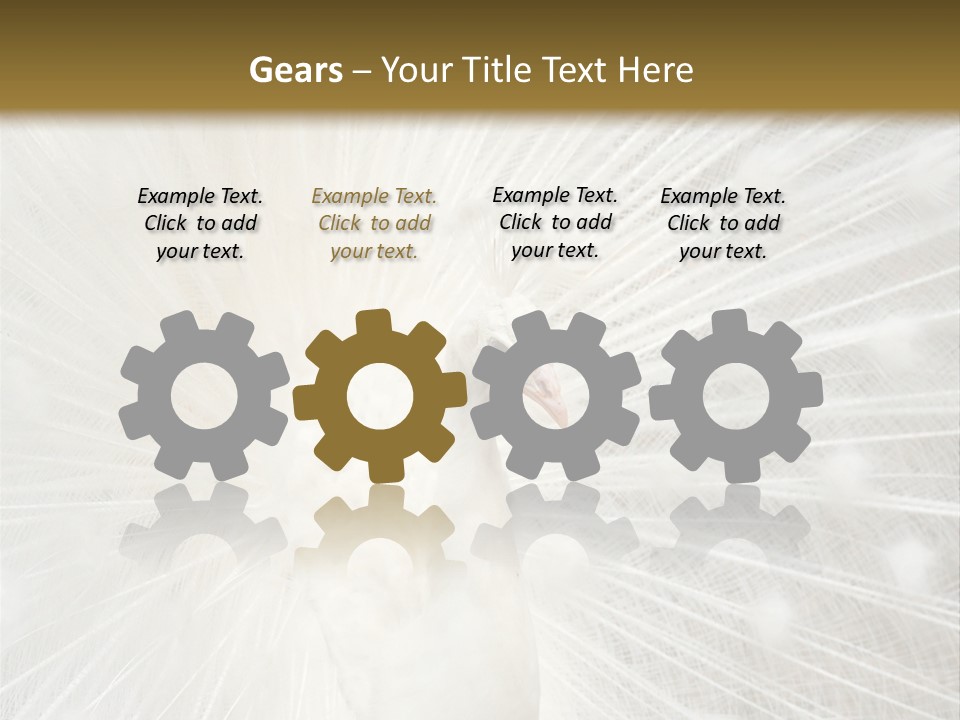 Show Animals White PowerPoint Template