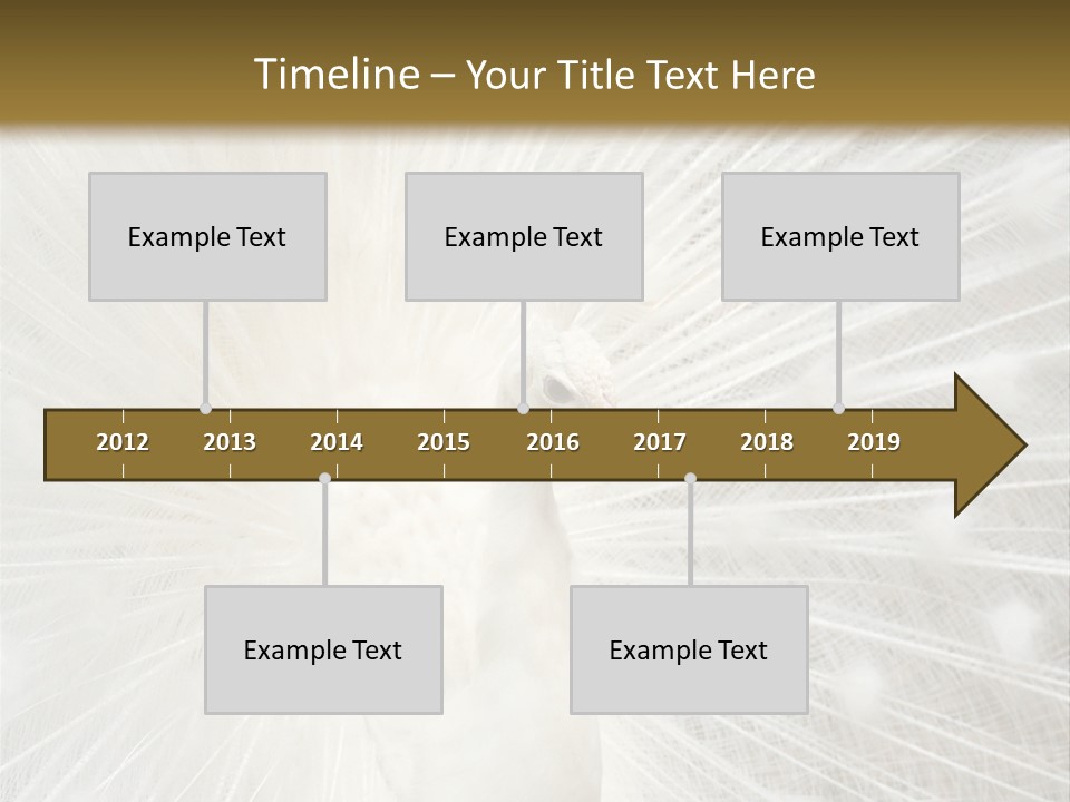 Show Animals White PowerPoint Template