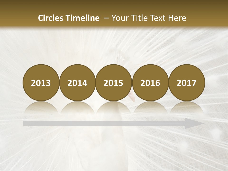 Show Animals White PowerPoint Template