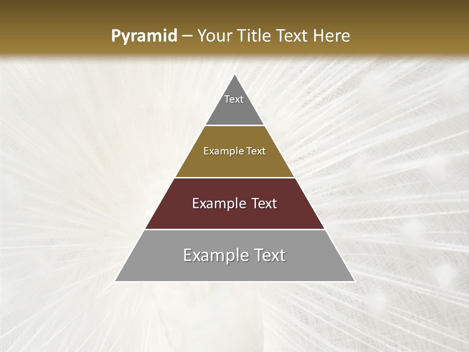 Show Animals White PowerPoint Template