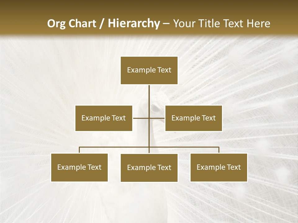 Show Animals White PowerPoint Template