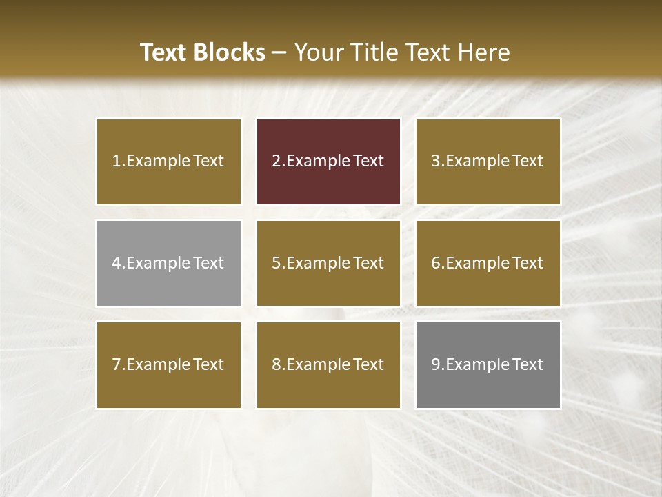 Show Animals White PowerPoint Template