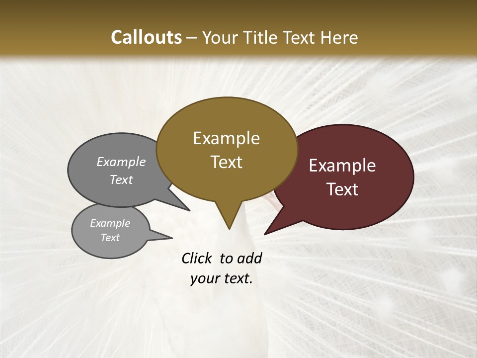 Show Animals White PowerPoint Template