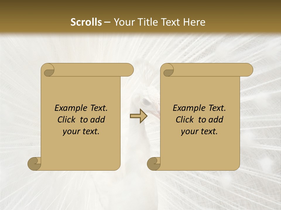 Show Animals White PowerPoint Template