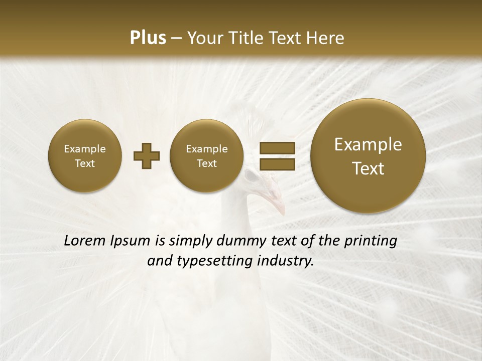 Show Animals White PowerPoint Template