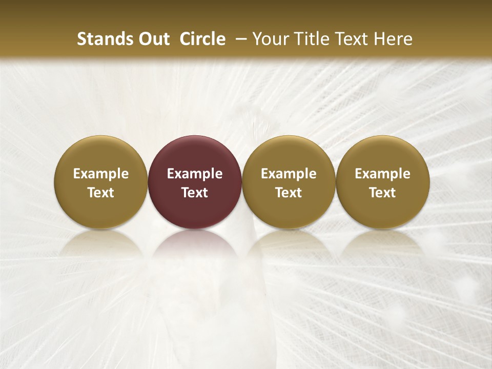 Show Animals White PowerPoint Template