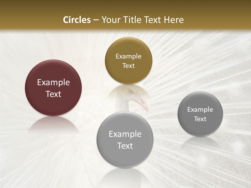 Show Animals White PowerPoint Template