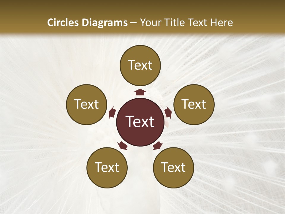 Show Animals White PowerPoint Template