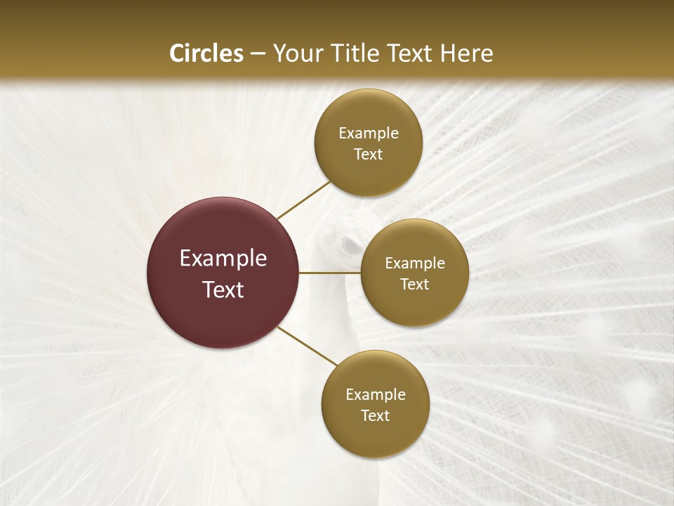 Show Animals White PowerPoint Template