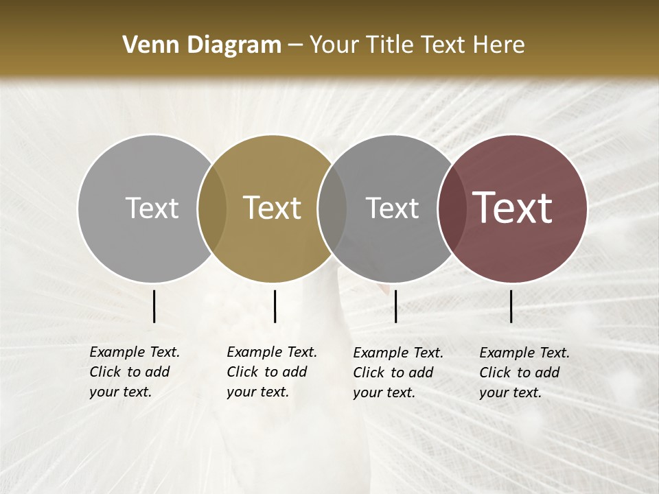 Show Animals White PowerPoint Template