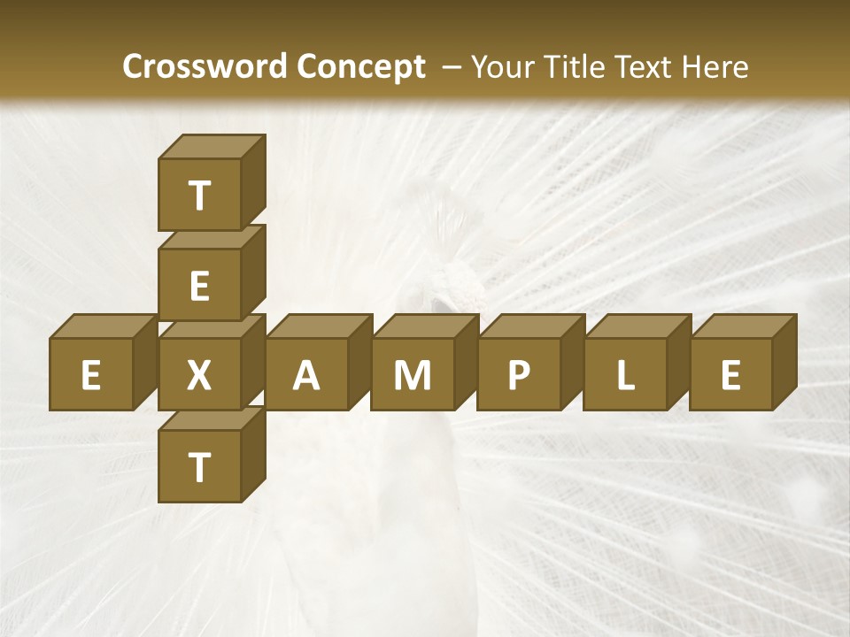 Show Animals White PowerPoint Template