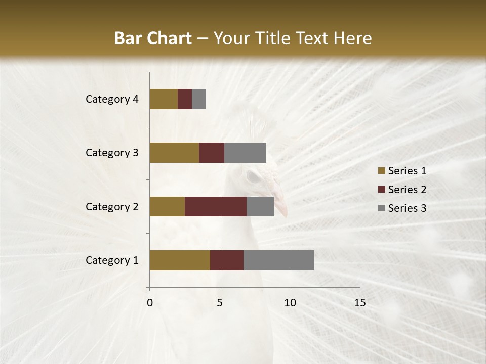 Show Animals White PowerPoint Template