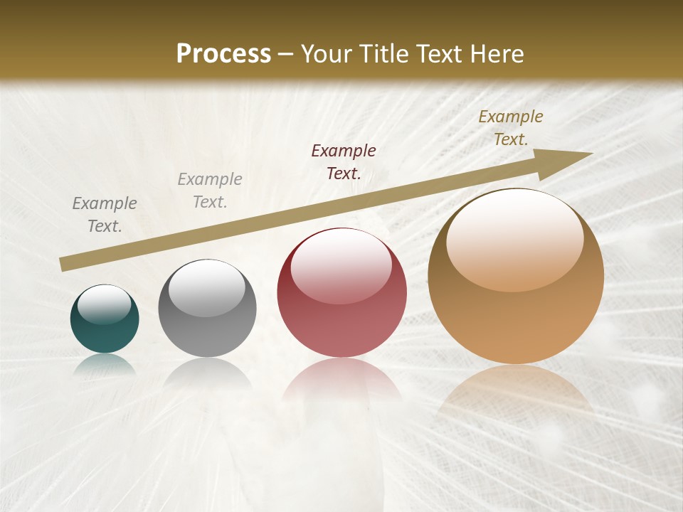 Show Animals White PowerPoint Template