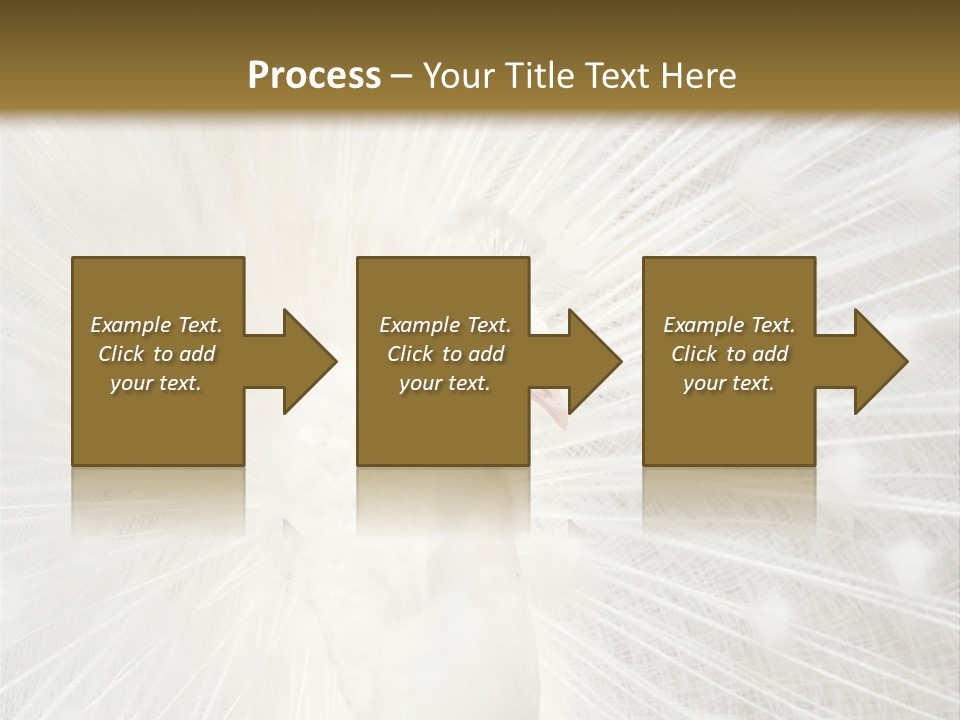 Show Animals White PowerPoint Template
