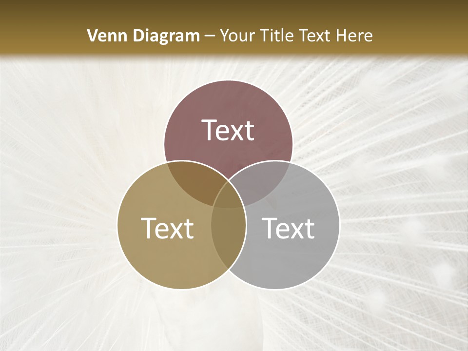 Show Animals White PowerPoint Template