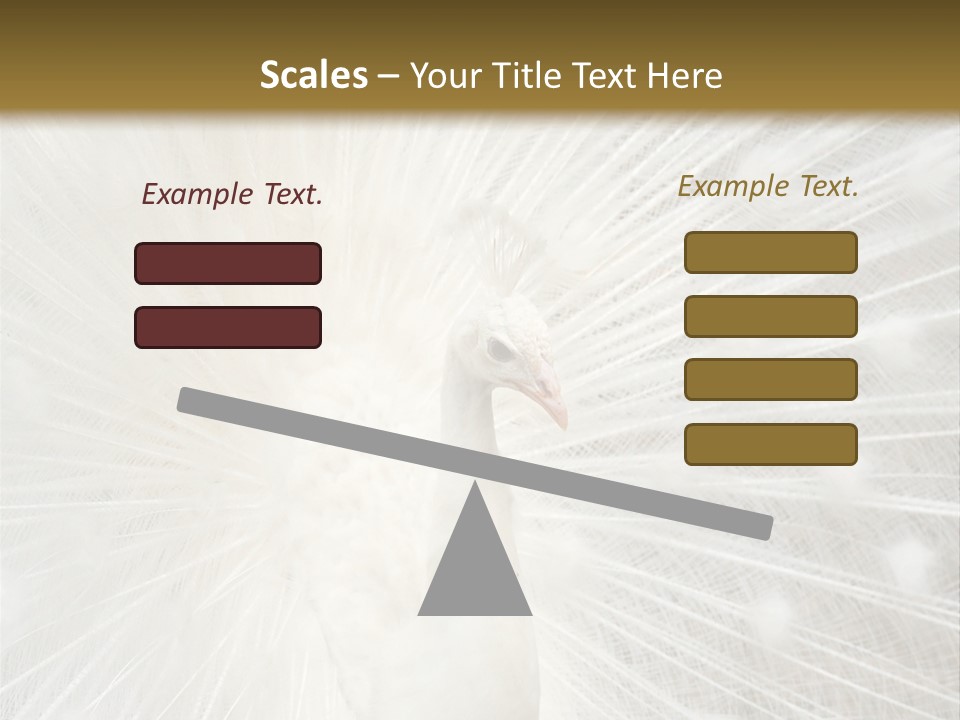 Show Animals White PowerPoint Template