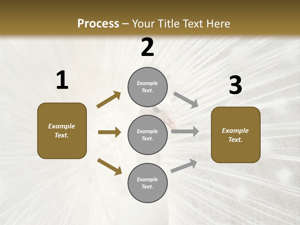 Show Animals White PowerPoint Template