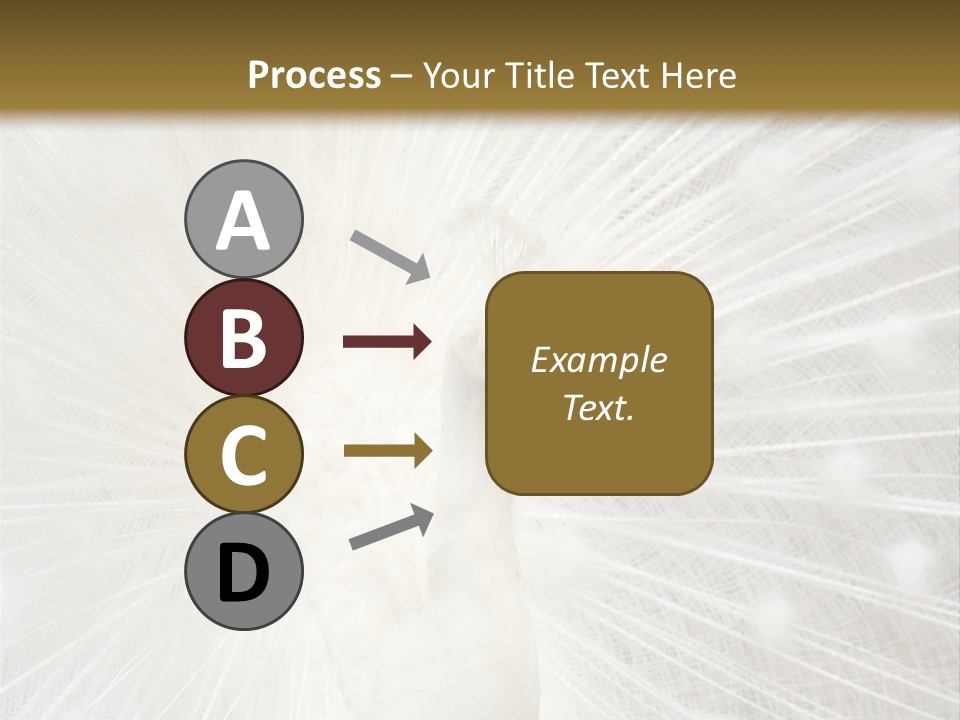 Show Animals White PowerPoint Template