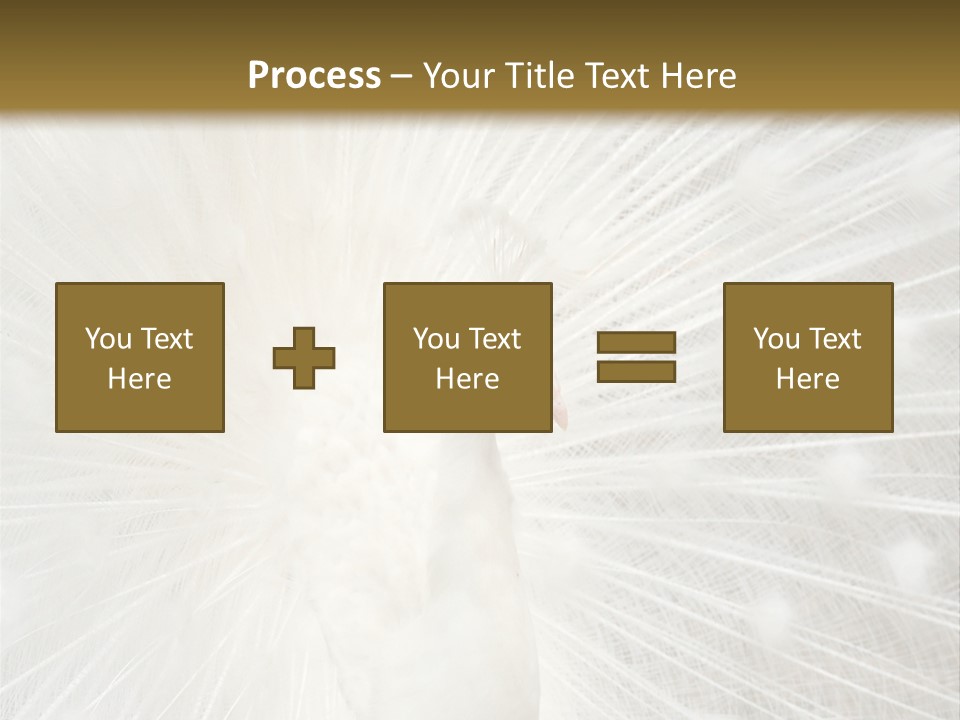 Show Animals White PowerPoint Template
