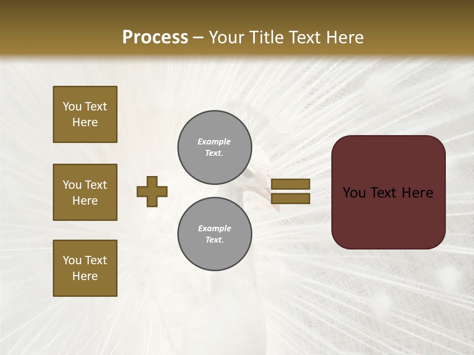 Show Animals White PowerPoint Template