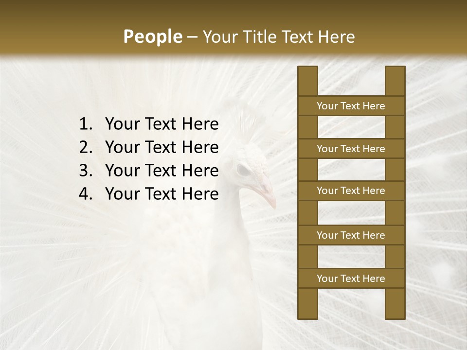 Show Animals White PowerPoint Template