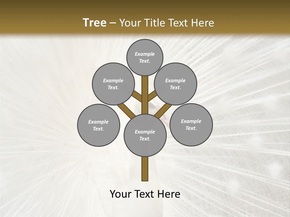 Show Animals White PowerPoint Template