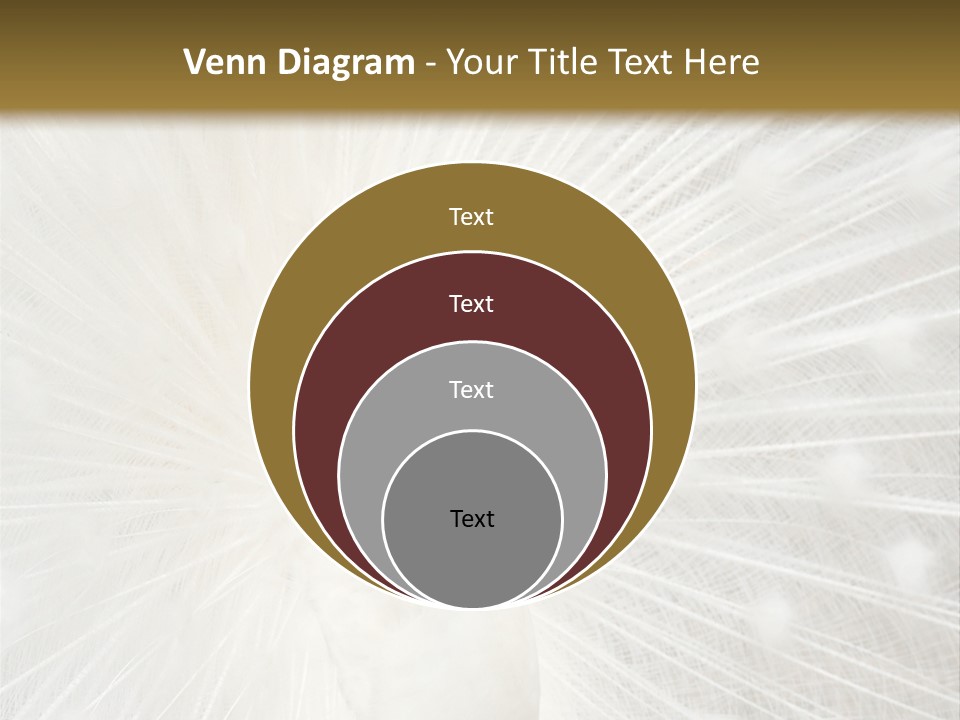 Show Animals White PowerPoint Template