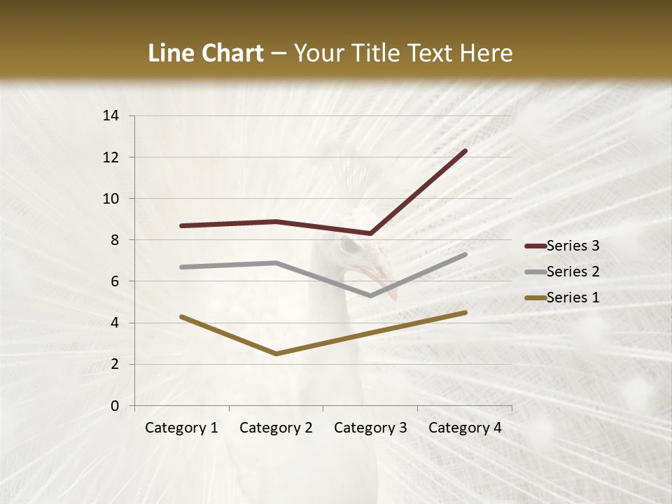 Show Animals White PowerPoint Template