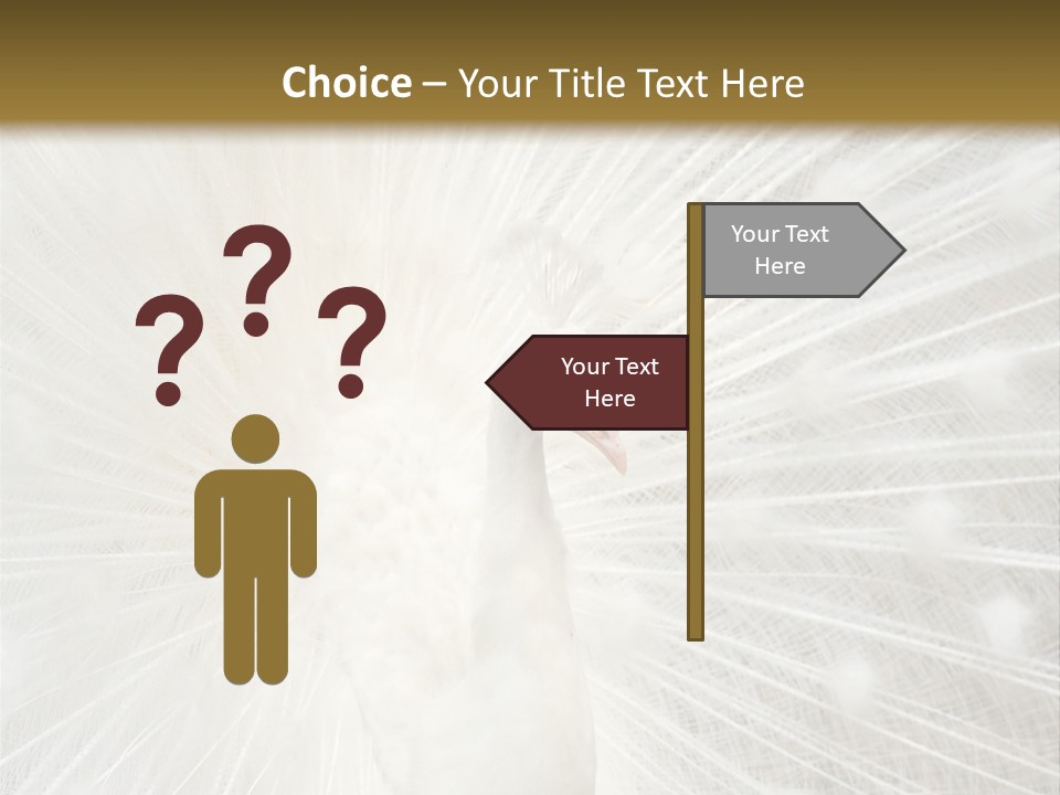 Show Animals White PowerPoint Template