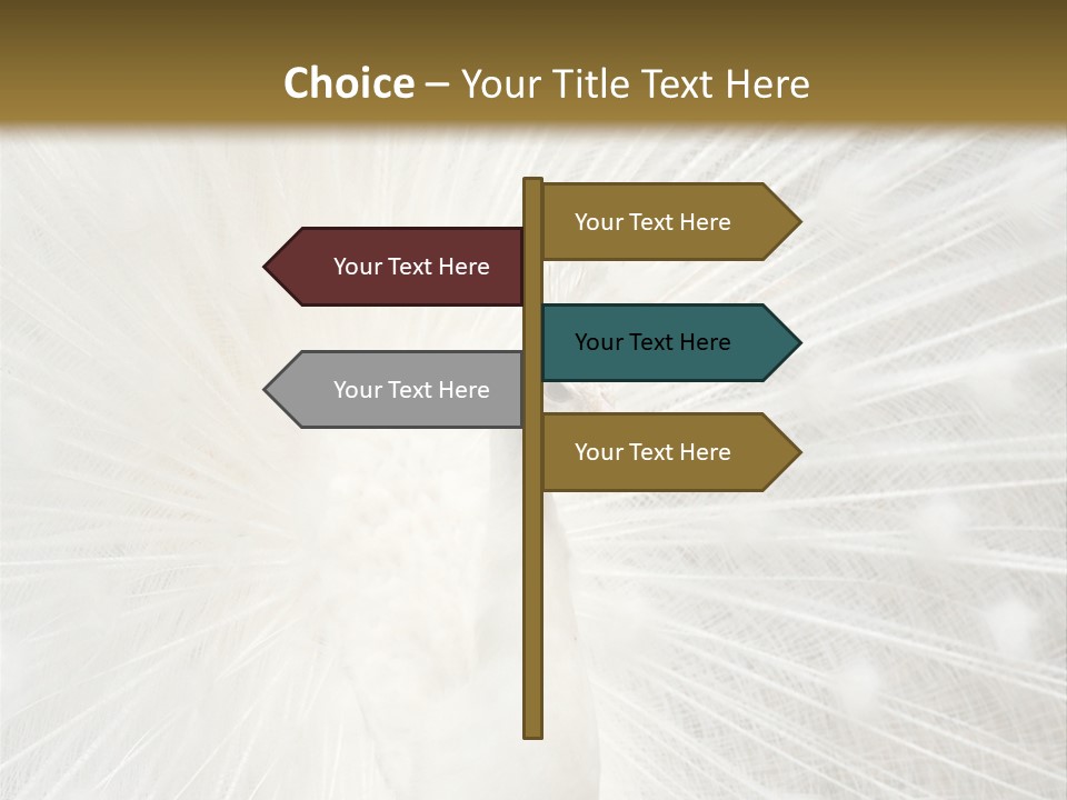 Show Animals White PowerPoint Template