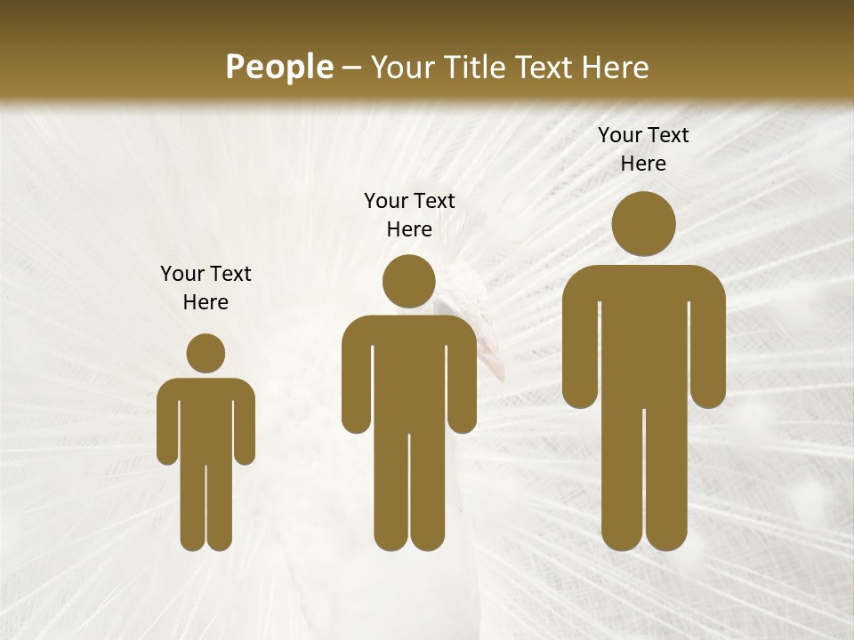 Show Animals White PowerPoint Template