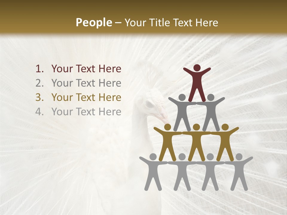 Show Animals White PowerPoint Template