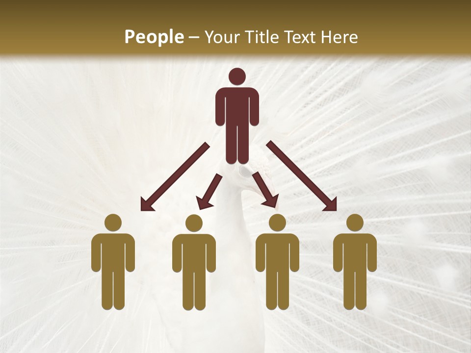 Show Animals White PowerPoint Template