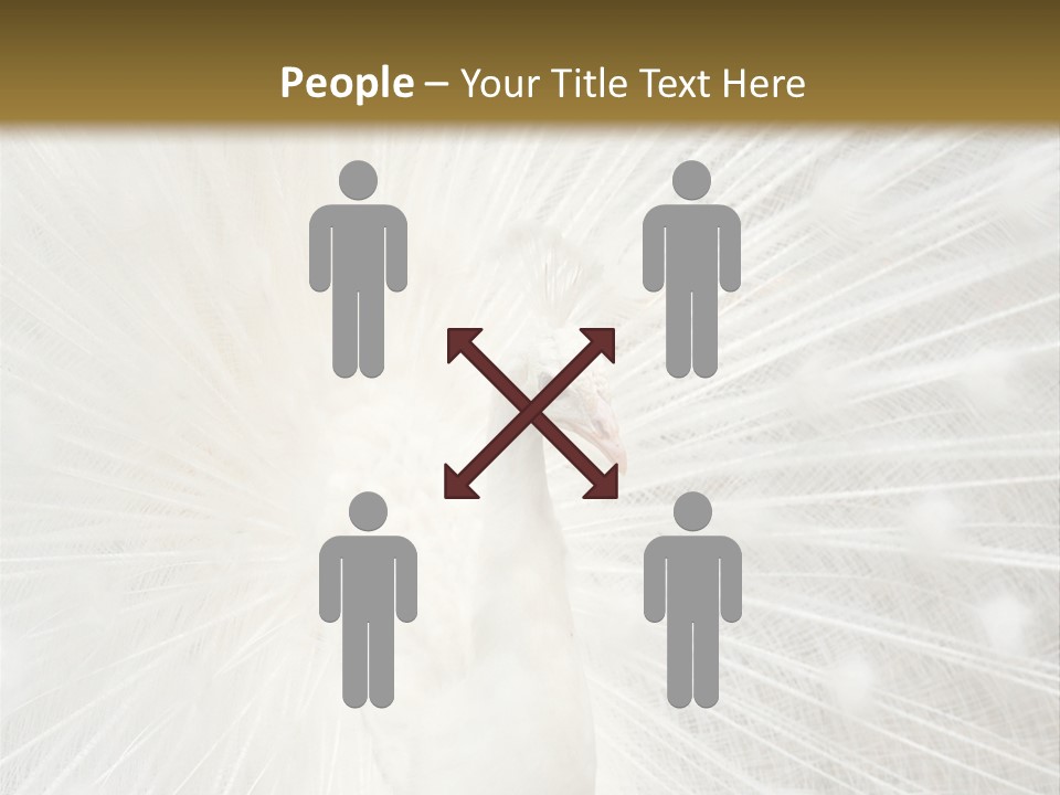 Show Animals White PowerPoint Template