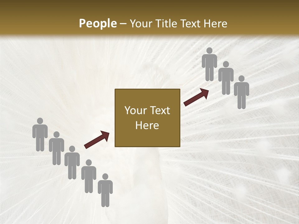 Show Animals White PowerPoint Template