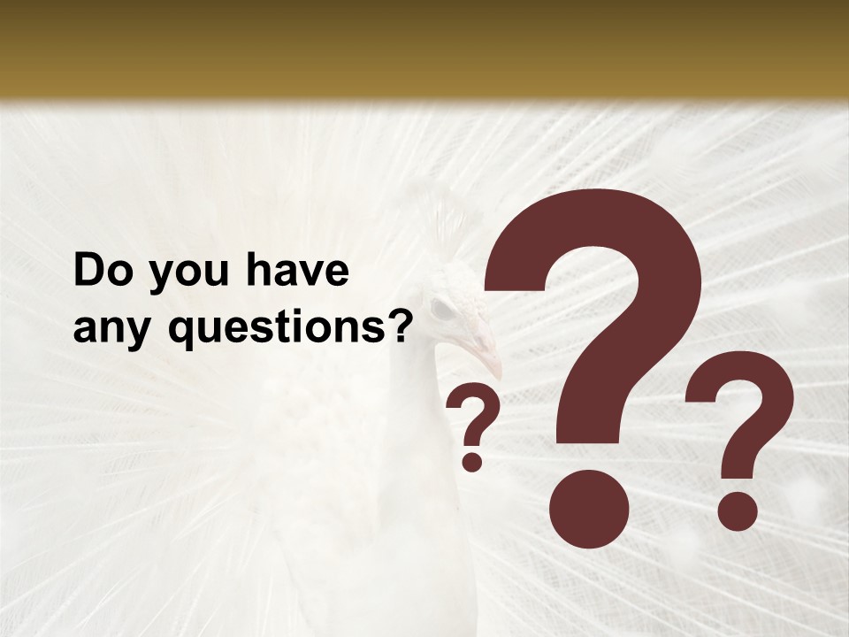 Show Animals White PowerPoint Template