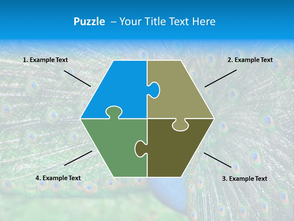 Beak Plumage Detail PowerPoint Template