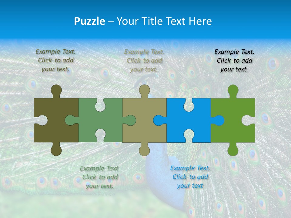 Beak Plumage Detail PowerPoint Template