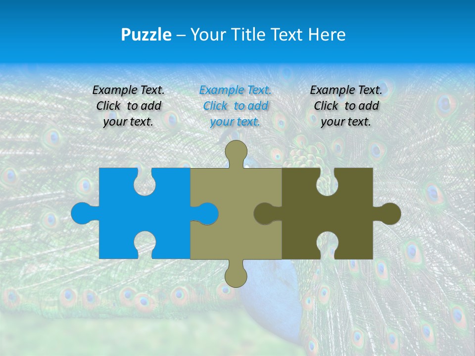 Beak Plumage Detail PowerPoint Template