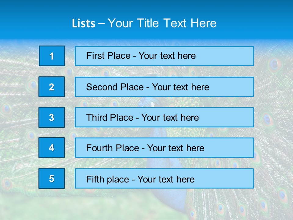 Beak Plumage Detail PowerPoint Template