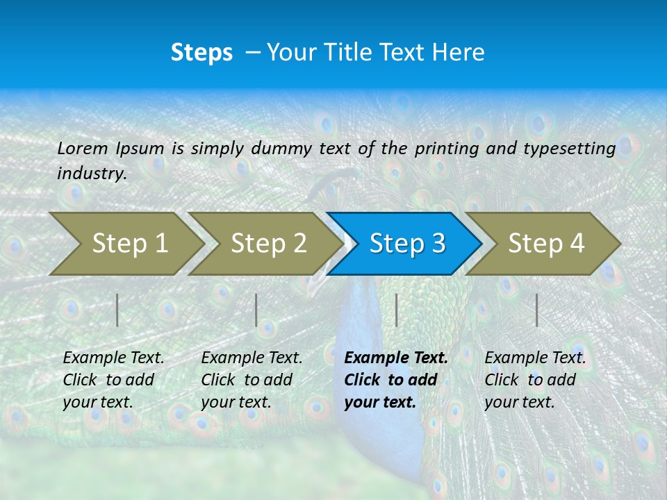 Beak Plumage Detail PowerPoint Template