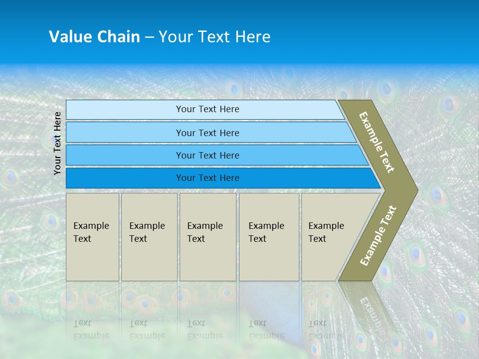 Beak Plumage Detail PowerPoint Template